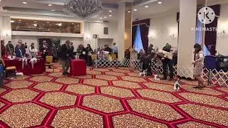 Progressive Toy Dog show - Biewer Terriers BTCA specialty 2026