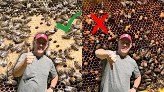 Splitting Bees - Disappointing Results (Could have been worse)