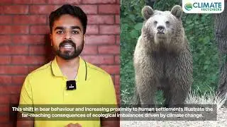 How human-bear conflicts in Japan are linked with ecological impacts of climate change