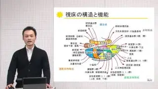 10分でわかる脳の構造と機能vol.9「視床・視床下部」‐畿央大学ニューロリハビリテーション研究センター‐