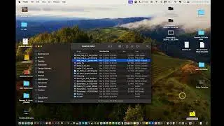 How to by Lou - reflector 4 not working - can't record with reflector 4