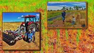 Arcadia Farm Video