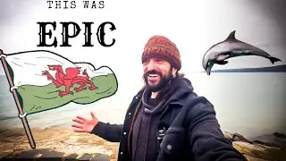 Our Luck FINALLY Changes In Wales (Van Life UK)