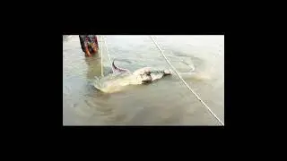Big Fish In Bangladesh || Best Fishing Vidio 2021 #short