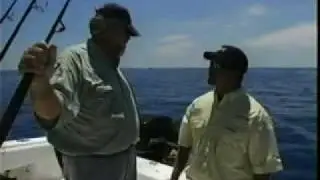 Reef Fish with Key West Delph Fishing Charters
