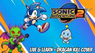 Live and Learn (Sonic Adventure 2) - Instrumental Cover | Dragan Kill