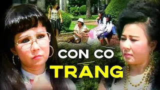 Trích đoạn cải lương Con Cò Trắng - Thanh Kim Huệ, Thanh Sang, Linh Huệ, Quế Trân...