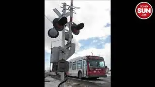 Ottawa city hall week in review