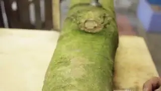 Bird log bar
