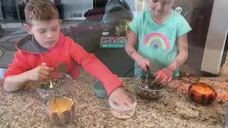 DIY Birdseed Suet Cakes