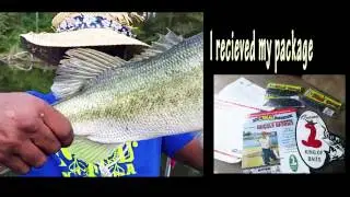 KINGS OF BASS - Hutt -  Creme Lure Pro Staff -  King of Baits