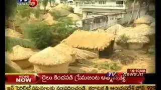 TV5 - AP farmers declare crop holiday