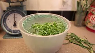 Best Salad Spinner? Here's What I Think After 30 Days
