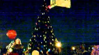 Glen Ellyn Tree Lighting 2012