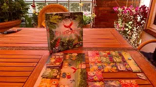 Rainforest Lets Play von Lübeck liebt Brettspiele