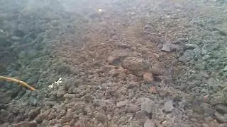 Giant lava boulders crumble floating on flow