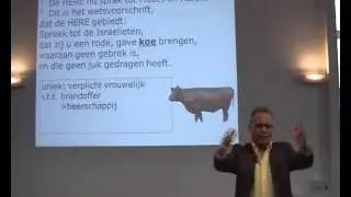 De Rode Koe & Het Reinigingswater