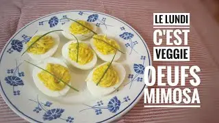 LES OEUFS 🥚MIMOSA DE POPOTE