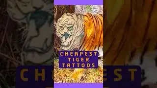 Worst and Cheapest Tiger Tattoos
