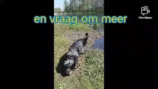 Voorleeshond Freddie maakt er het beste van