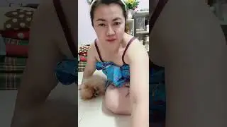 พี่ลูกตาลกับน้องมีตังค์นอนแล้วจ้าสองพี่น้อง 🐕‍🦺🥰😍🌿✨