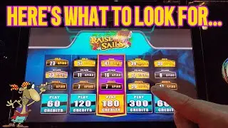 How to Collect More Profit from Raise The Sails 🏴&zwj;☠️🦜🥃 Plus NEW Numbers for When to Play!!! ☝️