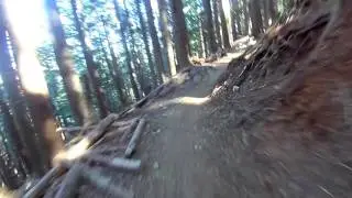 Tiger Mountain