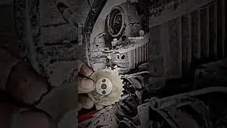 Passion Pro timing chain noise #hero #vlog #trending #youtubeshorts