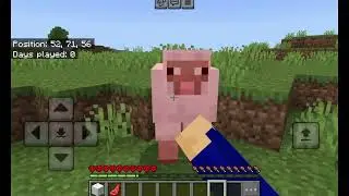 Minecraft on the Tab S10 FE