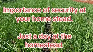 Rural Living in Zimbabwe- Security is important . How are you securing your property?