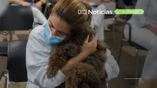 Tu lado animal: Terapia con perros, la nueva fórmula médica para pacientes hospitalizados
