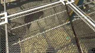 Dying Light  Gassed Up Open the primary distribution gate