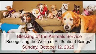 Blessing of the Animals: Recognizing the Worth of All Sentient Beings