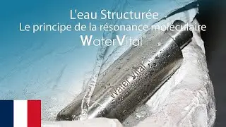 Water Vital &reg; |  L'eau Structur&eacute;e | L'eau Vive | R&eacute;sonance Mol&eacute;culaire | Purification de L'eau