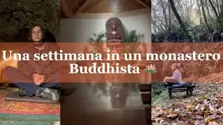 Sono stata una settimana in un monastero buddhista