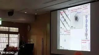 Dr Katsuya Inoue (SKCM2) Macroscopic spin phase order in chiral magnets