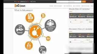 🔴 Что такое Bitconnect Обзор компании 🔴