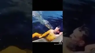 Ataque de cocodrilo #youtubeshorts #shorts #cocodrilo #animal