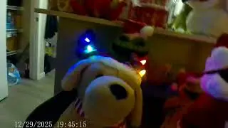 Jingle Bell Rock Dog