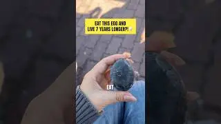 Eat this egg and live 7 years longer?!🥚 #japantravel #japantrip #tourguideinjapan