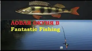 Ловля Окуня в Fantastic Fishing.