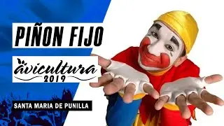 AVICULTURA 2019   JUEVES  PIÑON FIJO
