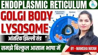 Endoplasmic Reticulum, Golgi Body & Lysosome Explained in Hindi | by Manisha Ma'am