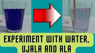 Experiment with water, ujala and Ala || #scienceexperiment #science