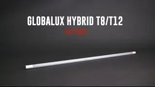 Гибридные светодиодные трубки GlobaLux T8 | Обзор продукта