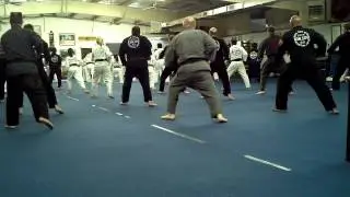 Chayon-Ryu Basic Form #3