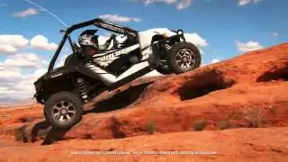 Arctic Cat WildcatX