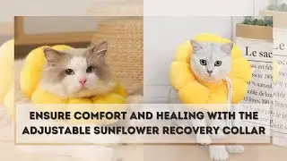 Adjustable Sunflower Recovery Collar - Anti-scratch Neck Protector For Pets