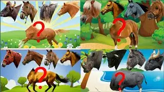 #PinglaTV WRONG HEADS!!! KAMU SANGAT PANDAI JIKA DAPAT MENEBAK KEPALA KUDA PINK INT?