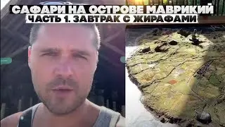 Сафари на острове Маврикий. Часть 1. Завтрак с Жирафами